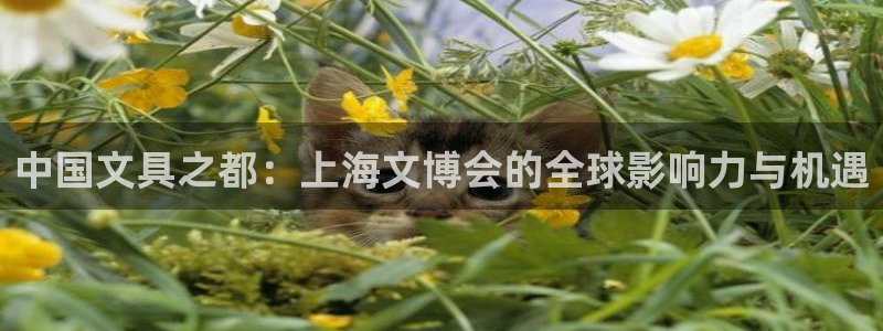 彩名堂APP下载：中国文具之都：上海文博