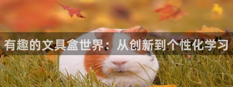 彩名堂免费计划5.0使用方法是什么：有趣