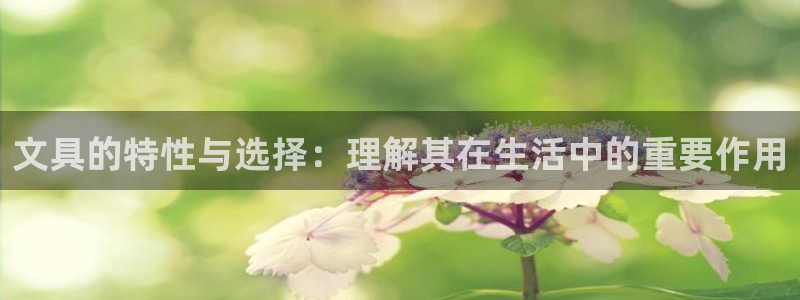 彩名堂app官方网：文具的特性与选择：理