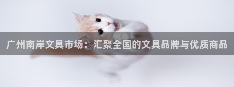 彩名堂手机客户端：广州南岸文具市场：汇聚