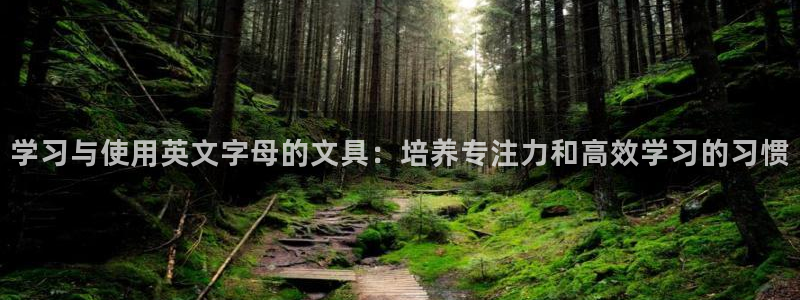彩名堂全天计划：学习与使用英文字母的文具