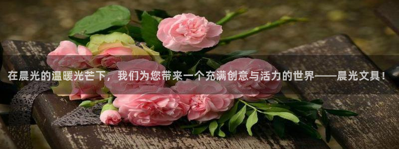 正规彩名堂官网计划：在晨光的温暖光芒下，