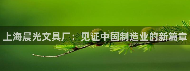 彩名堂人工预测免费计划：上海晨光文具厂：