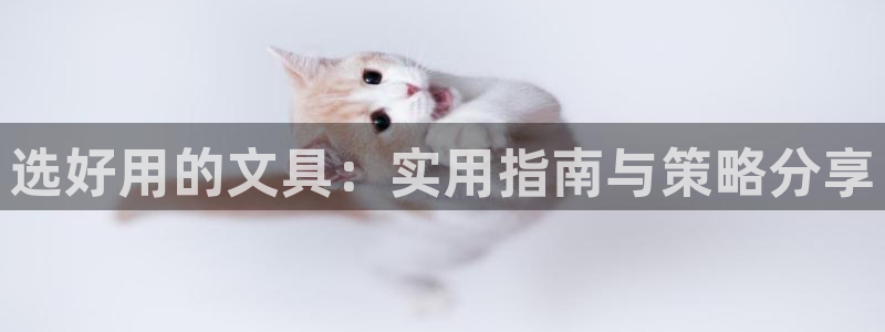 彩名堂官方软件下载：选好用的文具：实用指