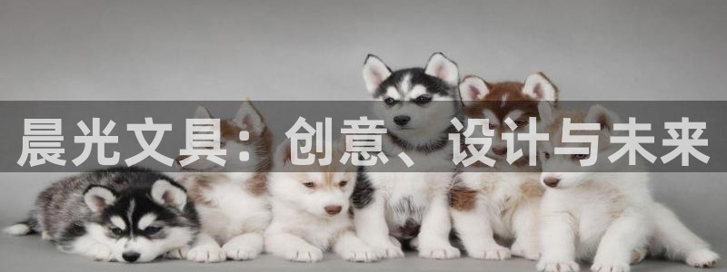 彩名堂合作655560：晨光文具：创意、
