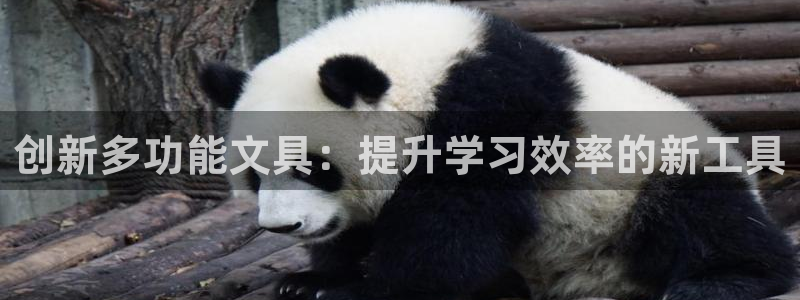 彩名堂人工计划客户端：创新多功能文具：提