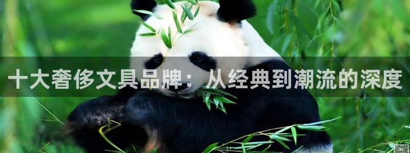 老版本彩名堂计划软件：十大奢侈文具品牌：