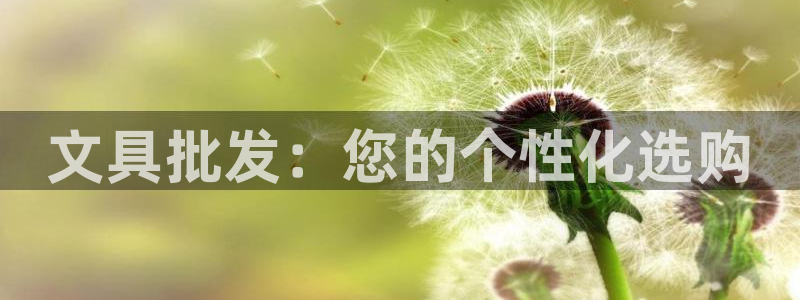 彩名堂手机版官网：文具批发：您的个性化选
