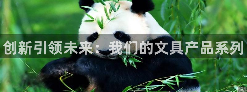 彩名堂苹果版怎么不能用了：创新引领未来：