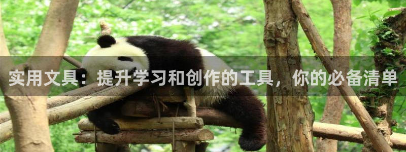 彩名堂官网客户端：实用文具：提升学习和创