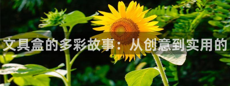 彩名堂4.3：文具盒的多彩故事：从创意到