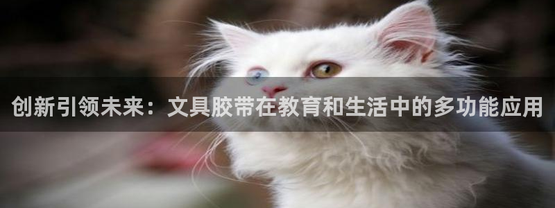 彩名堂计划官方下载网址