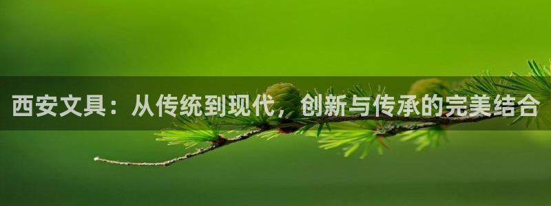 正规彩名堂官网计划