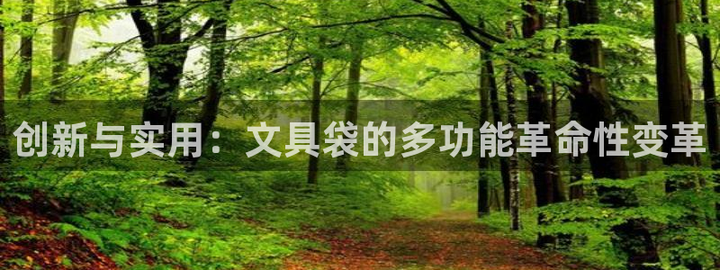 彩名堂预测免费计划：创新与实用：文具袋的