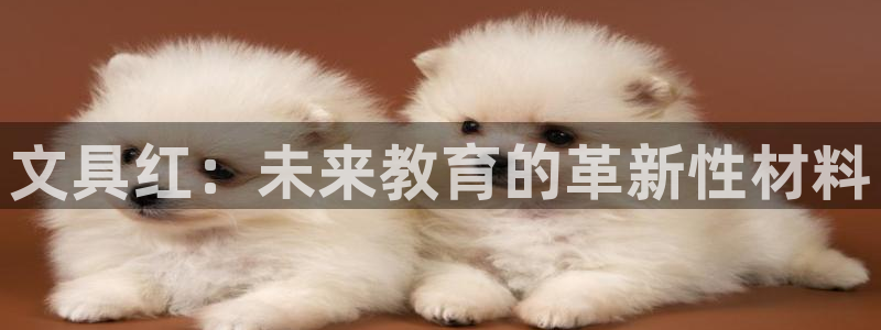 彩名堂app官方网：文具红：未来教育的革