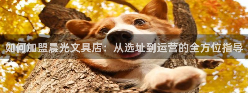 彩名堂预测软件