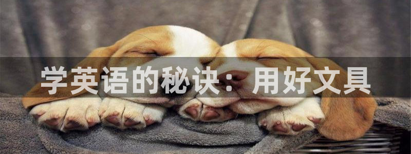 彩名堂免费计划5.0使用方法