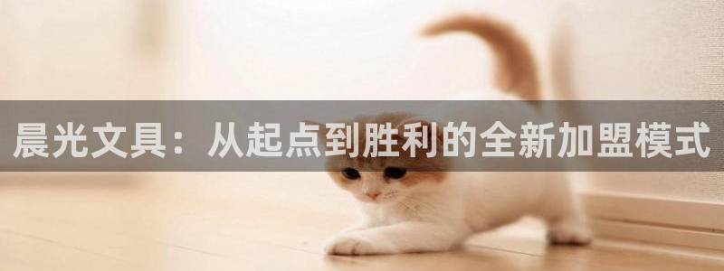 彩名堂预测免费计划