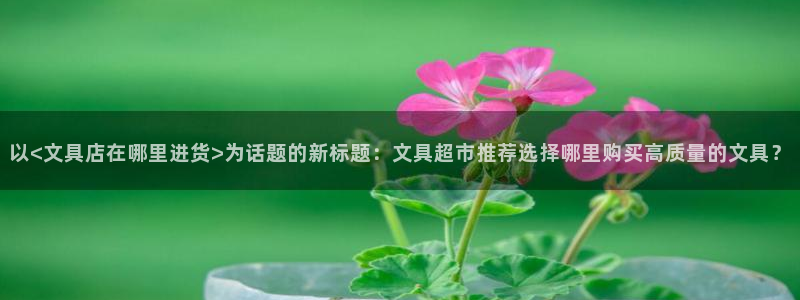 彩名堂官网计划怎么下载：以<文具店在哪里