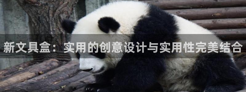 彩名堂怎么不能用了：新文具盒：实用的创意