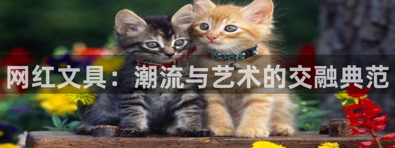 彩名堂官网2：网红文具：潮流与艺术的交融