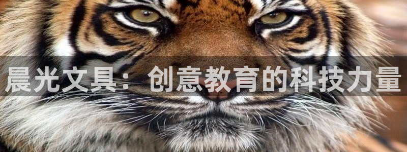 彩名堂的拼音：晨光文具：创意教育的科技力