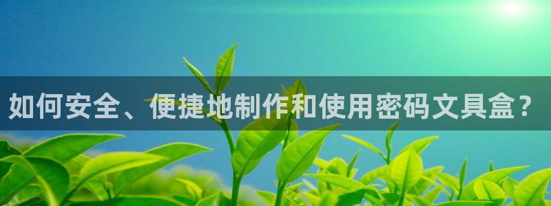 彩名堂首页：如何安全、便捷地制作和使用密