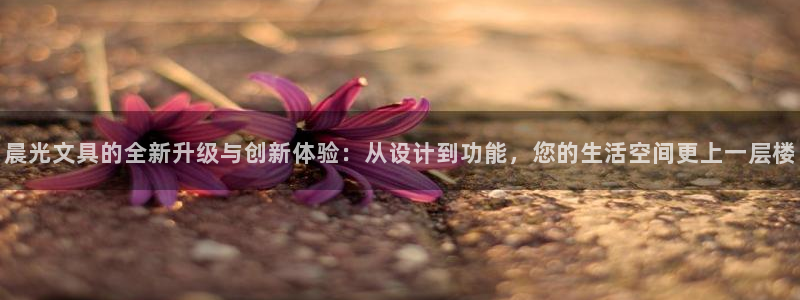 彩名堂免费计划官网5.0版下载链接：晨光