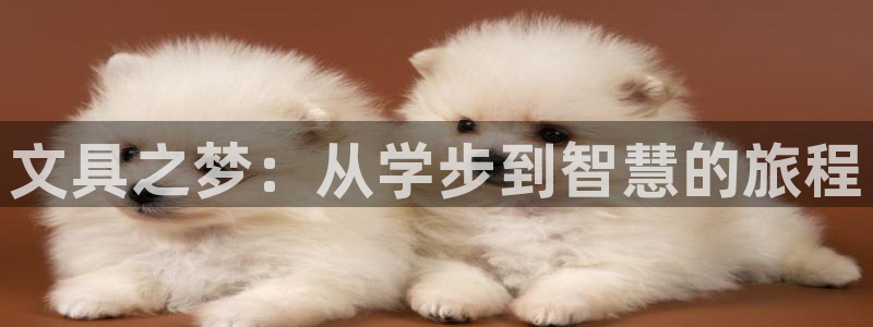 彩名堂客户：文具之梦：从学步到智慧的旅程