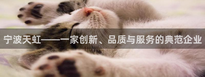 谁知道彩名堂网站是多少：宁波天虹——一家