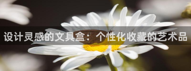 彩名堂改成什么名字了：设计灵感的文具盒：