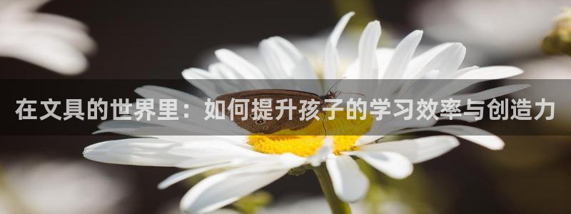 彩名堂.apk：在文具的世界里：如何提升