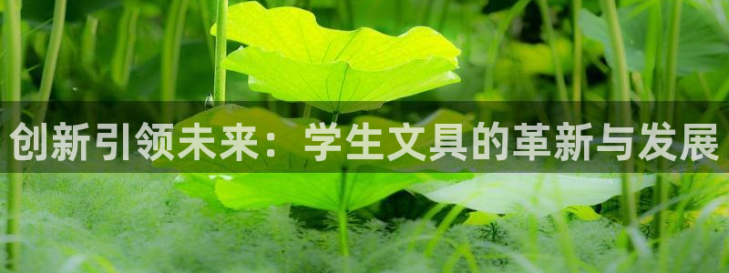彩名堂5.0：创新引领未来：学生文具的革