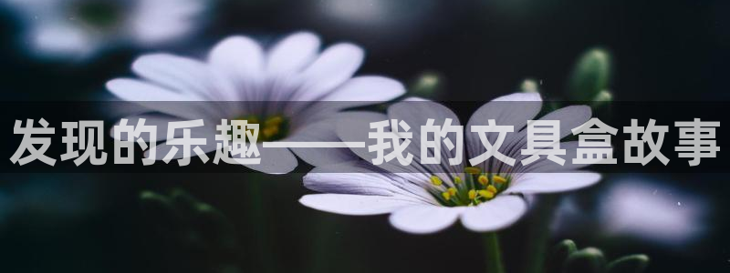 彩名堂移动客户端：发现的乐趣——我的文具