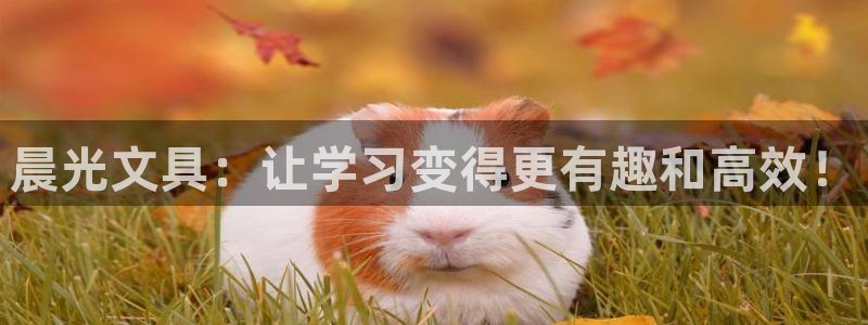 彩名堂50版本计划：晨光文具：让学习变得