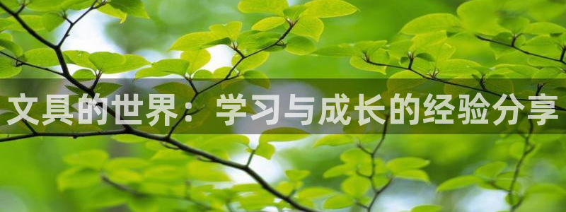 彩名堂计划怎么跟不挂：文具的世界：学习与