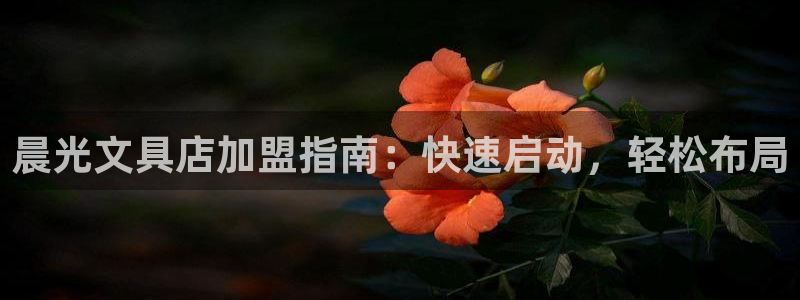 彩名堂官网客户端：晨光文具店加盟指南：快