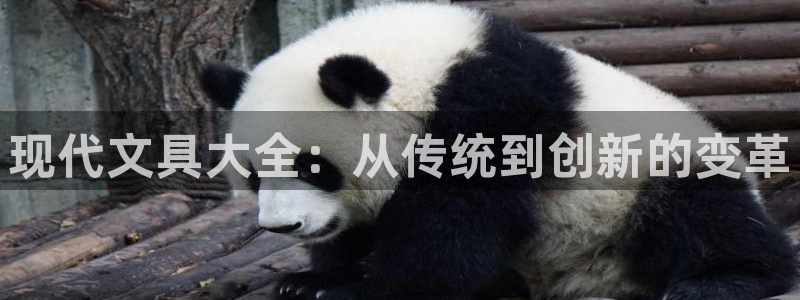 彩名堂免费计划官网怎么进不去了：现代文具