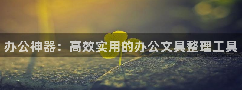 彩名堂手机客户端：办公神器：高效实用的办