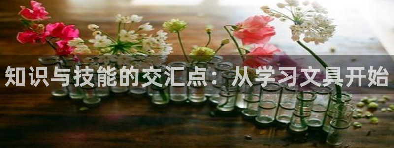 彩名堂免费计划官网50：知识与技能的交汇