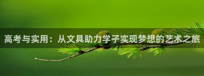 彩名堂人工计划客户端：高考与实用：从文具