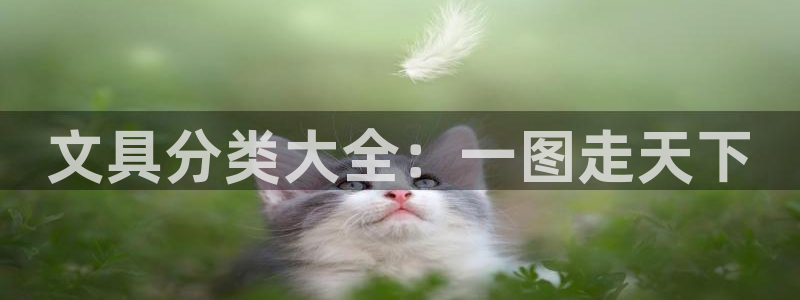 彩名堂app下载5.1.0：文具分类大全