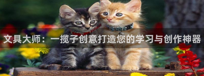 彩名堂开奖结果查询：文具大师：一揽子创意