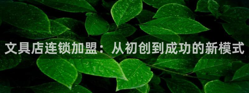 彩名堂人工预测免费计划：文具店连锁加盟：