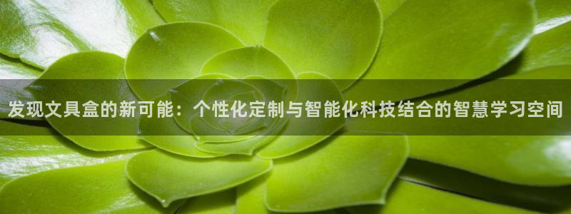 彩名堂app官网：发现文具盒的新可能：个