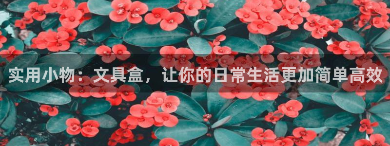 彩名堂是正规的公司吗：实用小物：文具盒，