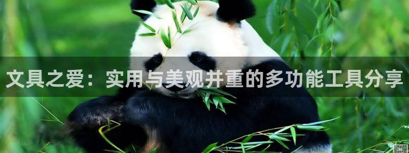 彩名堂预测官网：文具之爱：实用与美观并重