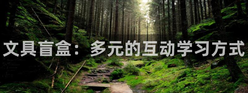 彩名堂是什么：文具盲盒：多元的互动学习方