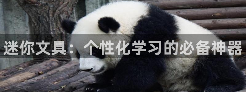 彩名堂最新免费计划官网：迷你文具：个性化