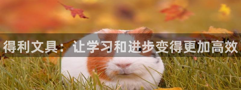 彩名堂一直不出结果怎么回事儿：得利文具：